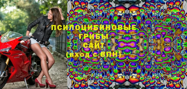 мдпв Горняк