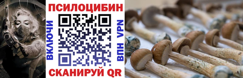 Купить где  Павлово  Псилоцибиновые грибы ЛСД 